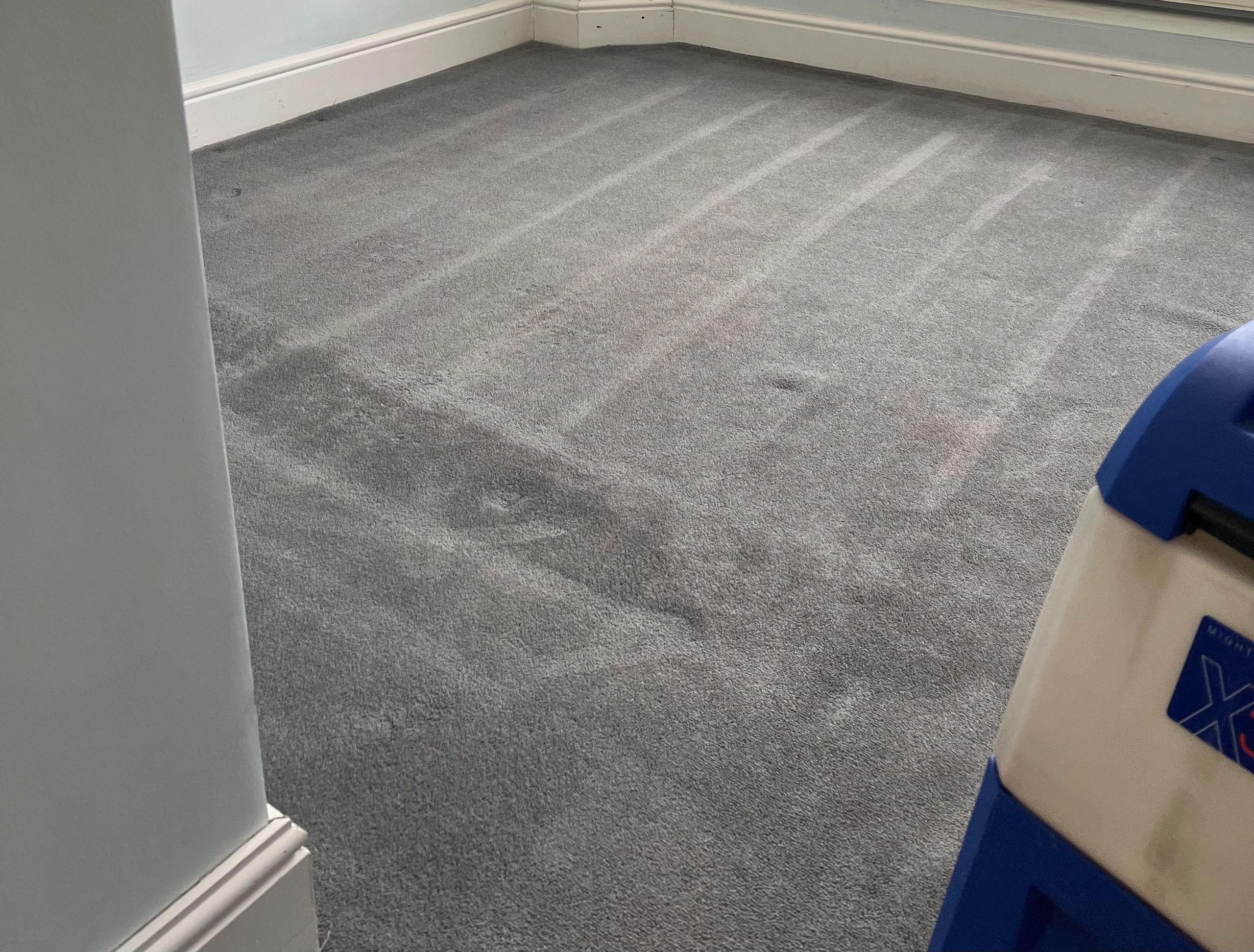 Carpet showing visible cleaned result